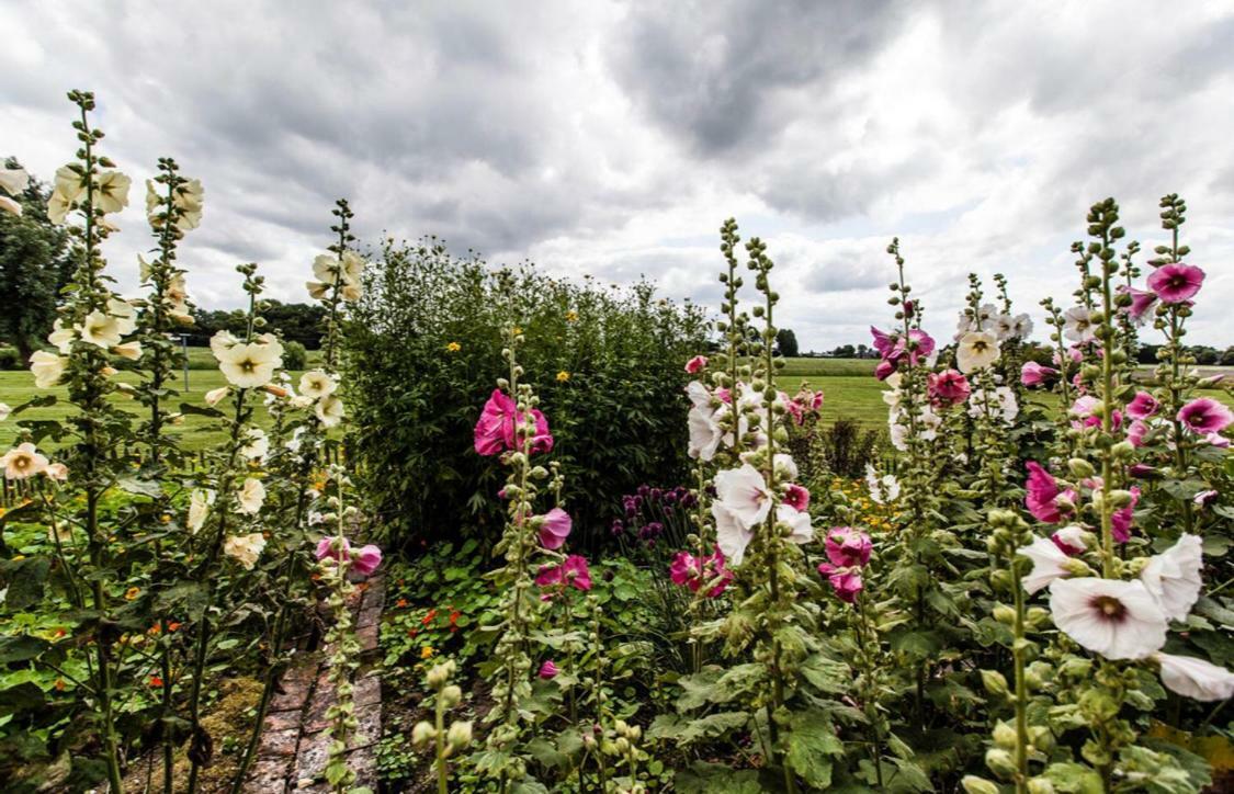 B&B OldenboschHolwierde エクステリア 写真